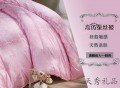 高仿蚕丝被 特价礼品被子